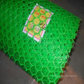 Plastic Wire Cloth Filter Screen